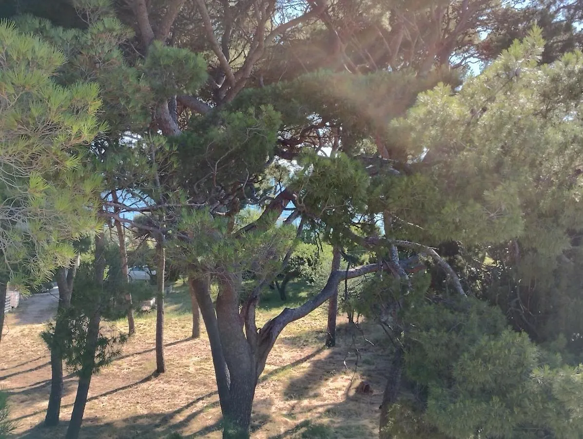 Old Captain'S Apartments - In A Pine Wood By The Sea And Tennis Courts Split