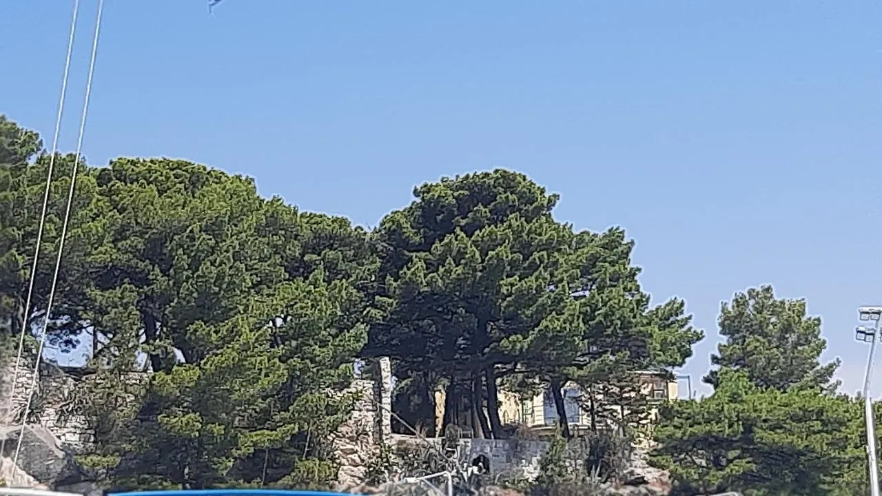 Old Captain'S Apartments - In A Pine Wood By The Sea And Tennis Courts Split